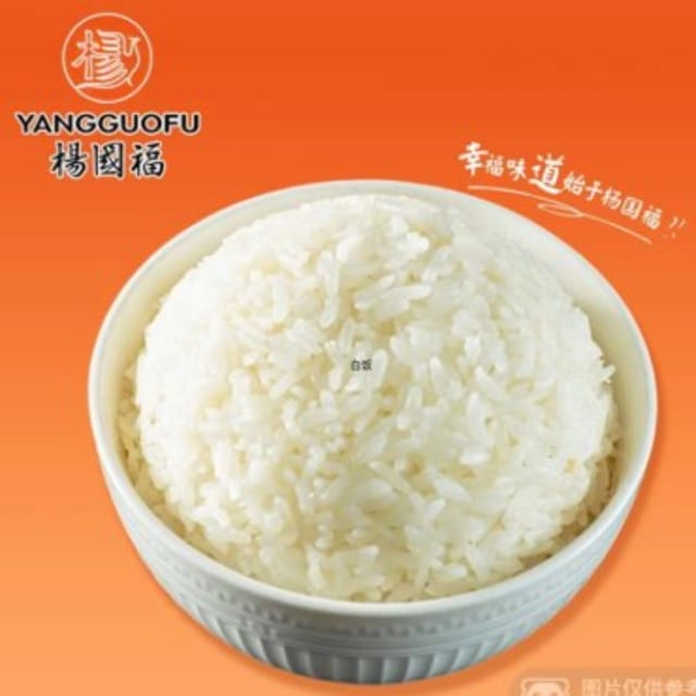 Rice - 米饭.