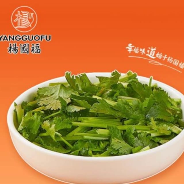 Cilantro - 香菜.